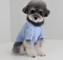 画像をギャラリービューアに読み込む, ペイズリーシャツ sky