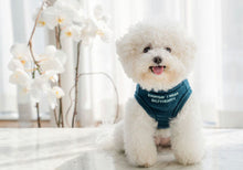 画像をギャラリービューアに読み込む, メッセージタートルニット green