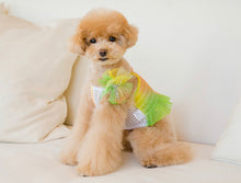 画像をギャラリービューアに読み込む, レインボーキャンディクロップトップス