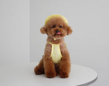 画像をギャラリービューアに読み込む, ペイズリーフリルシャツ yellow