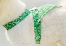 画像をギャラリービューアに読み込む, バンダナペイズリートップス green