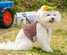 画像をギャラリービューアに読み込む, フラワーキャミソール red