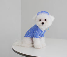 画像をギャラリービューアに読み込む, ペイズリーシャツ Blue