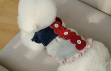 画像をギャラリービューアに読み込む, ピクニックニット vivid