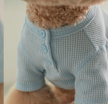 画像をギャラリービューアに読み込む, ワッフルトップス Blue