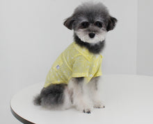 画像をギャラリービューアに読み込む, ペイズリーシャツ yellow