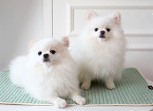 画像をギャラリービューアに読み込む, only one ポータブル 似顔絵ワッペン マット