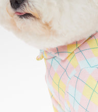 画像をギャラリービューアに読み込む, チェックカラートップス pink