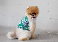 画像をギャラリービューアに読み込む, ボタニカルキャミソール green