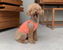 画像をギャラリービューアに読み込む, ネオンキャミソール Orange