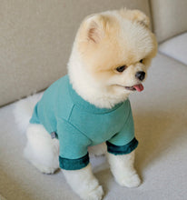 画像をギャラリービューアに読み込む, アームファートップス green