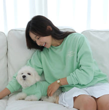 画像をギャラリービューアに読み込む, DOG lovers trainer adult mint