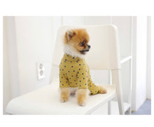 画像をギャラリービューアに読み込む, dot all-in-one mustard