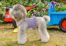 画像をギャラリービューアに読み込む, フラワーキャミソール Blue