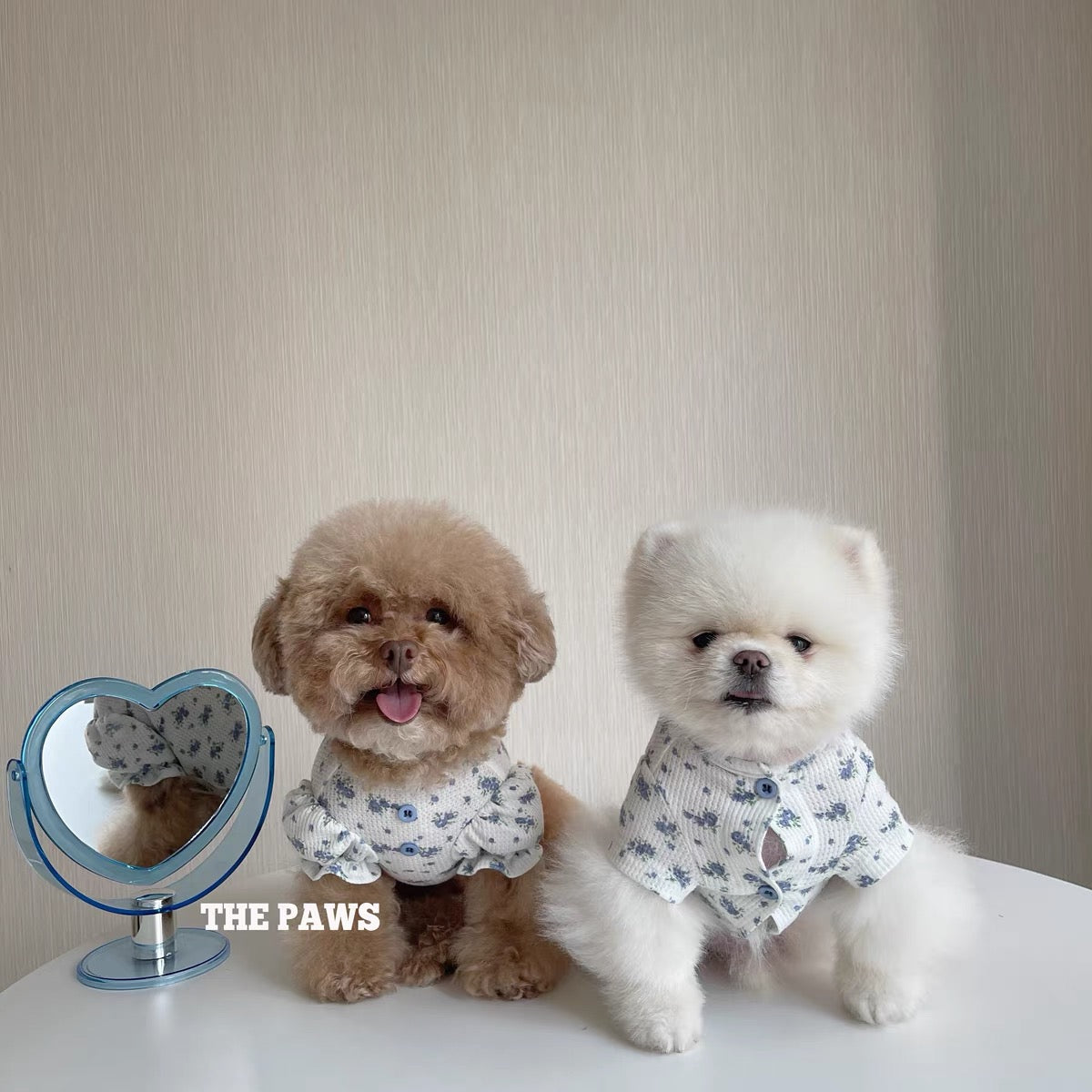 IT-DOGS】itdogs⭐︎パフスリーブ⭐︎トップス⭐︎ TOPS – corona dog