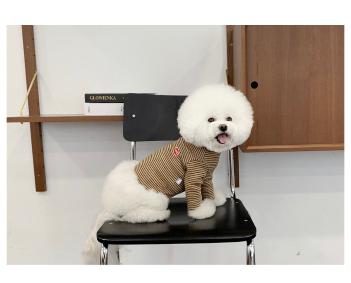 TOPS – corona dog lifestyle