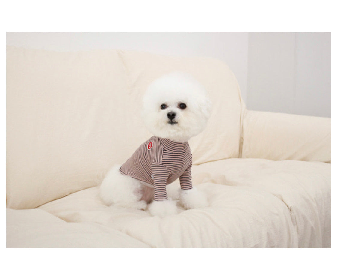 TOPS – corona dog lifestyle